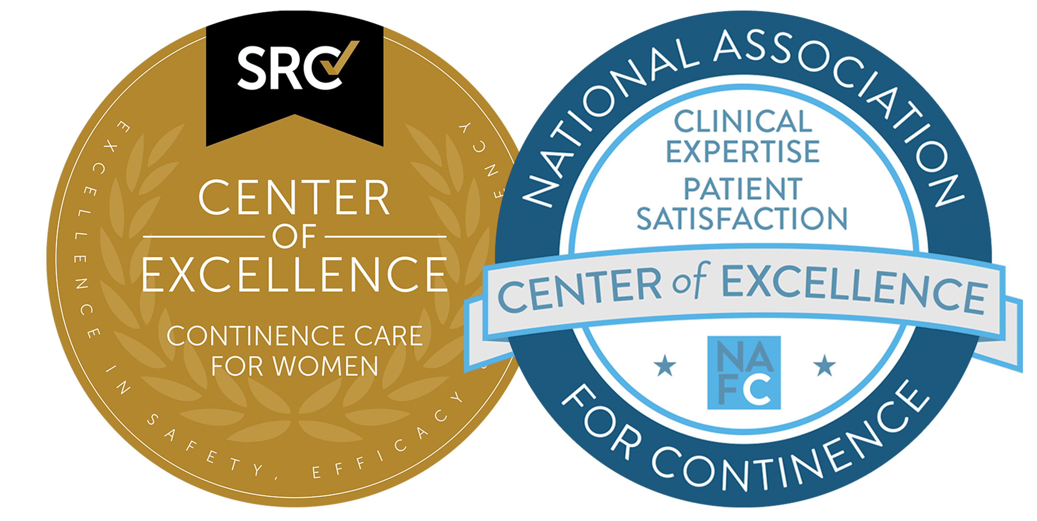 Center of Excellence in Joint Replacement